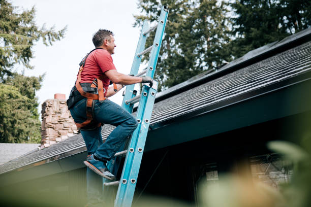 Best Skylight Installation and Repair  in South Holland, IL