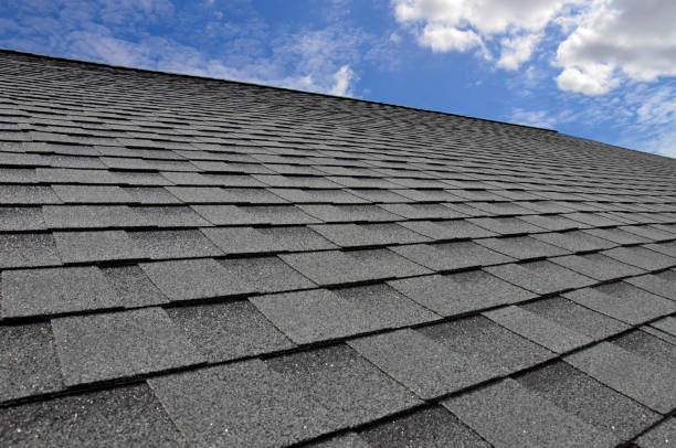 Best Metal Roofing Installation  in South Holland, IL