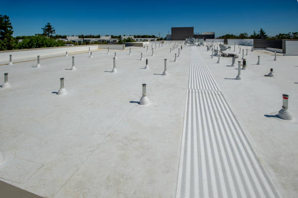 Best Roof Ventilation Installation  in South Holland, IL